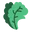 Auk