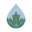 Clean Maple