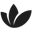 Eufora