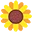 Lilicloth