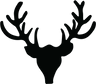 Taxidermy